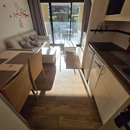 Matisse 12 F2 Rdj Cannes
